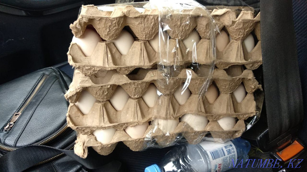 I will sell wholesale and retail hatching duck and goose eggs. Taldykorgan - photo 3