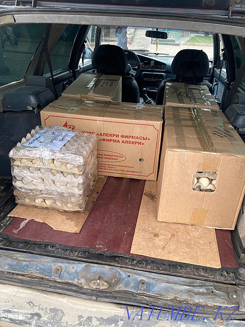 I will sell wholesale and retail hatching duck and goose eggs. Taldykorgan - photo 2