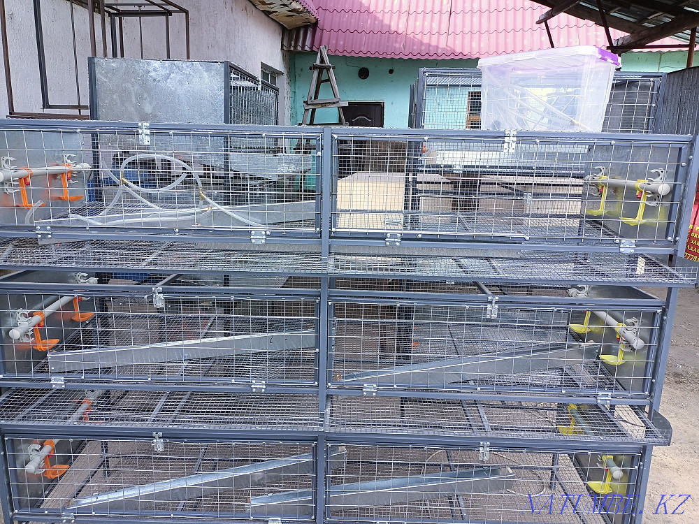 chicken cage Узынагаш - photo 7