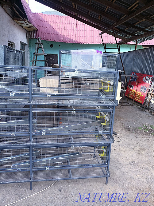 chicken cage Узынагаш - photo 8