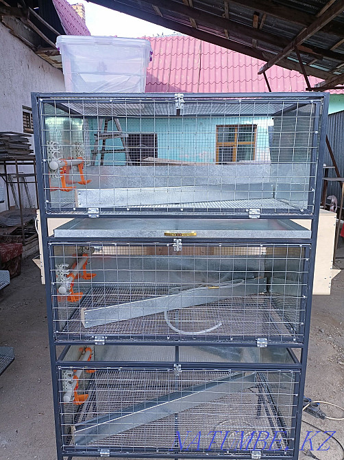 chicken cage Узынагаш - photo 2