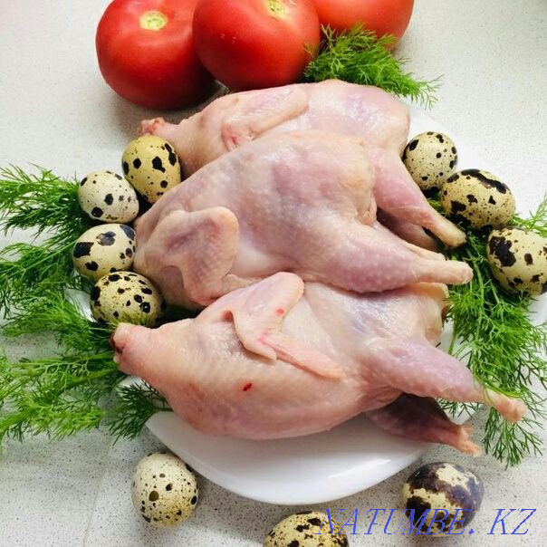 quail meat Shchuchinsk - photo 1