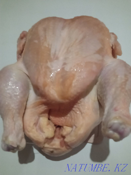 Brolers home Aqtobe - photo 1