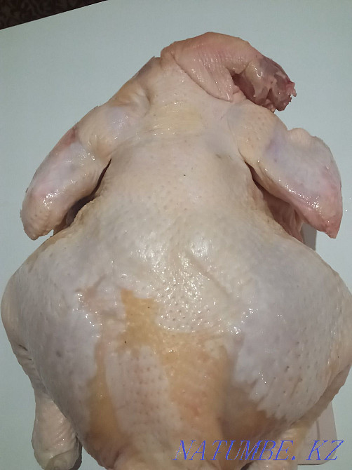 Brolers home Aqtobe - photo 2