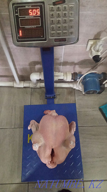 Brolers home Aqtobe - photo 3