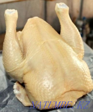 Broiler carcasses. Natural product at a low price Petropavlovsk - photo 2
