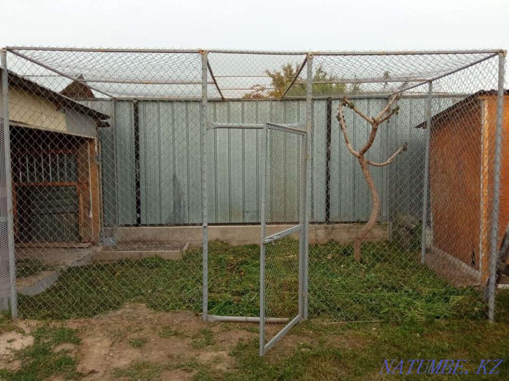 Вальер для птиц разборный Боралдай - изображение 1