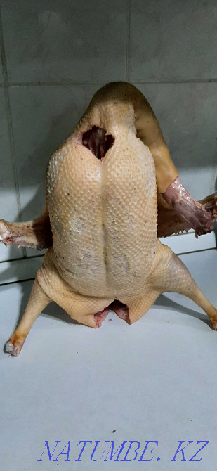 Sell goose meat Almaty - photo 1