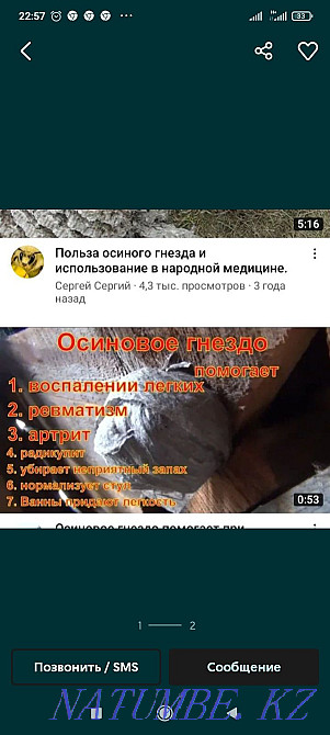 Гнездо осиное лечебное Алматы - изображение 1