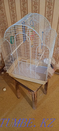 Cage for parrots  - photo 1