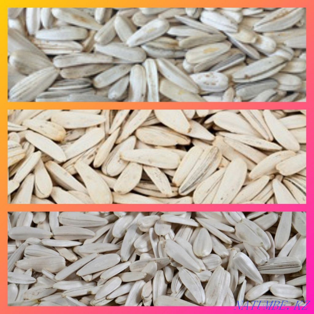 Просса красная оптом и в розницу Шымкент - изображение 7