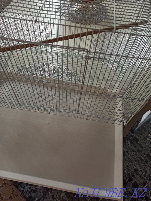 Клетка большая Алматы - изображение 2