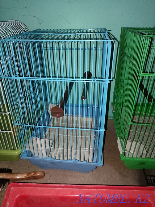 Продам волнистых попугаев Актобе - изображение 8