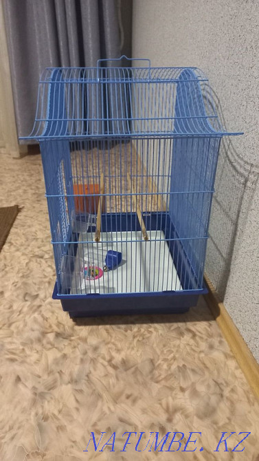 Продаётся клетка для попугая Актау - изображение 2