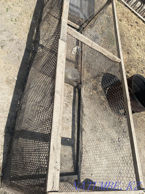 Цыплятник сетка для цыплят Тараз - изображение 2