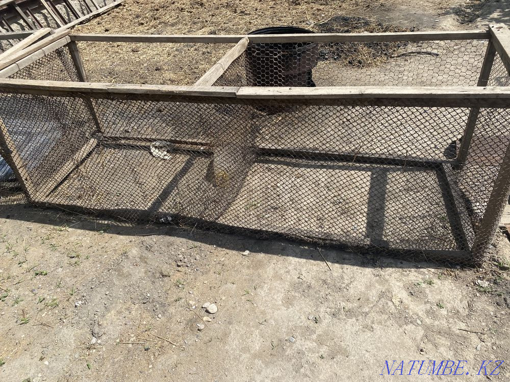 Цыплятник сетка для цыплят Тараз - изображение 3