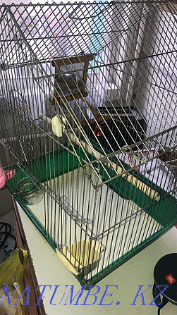 Клетка для попугаев бу Алматы - изображение 2
