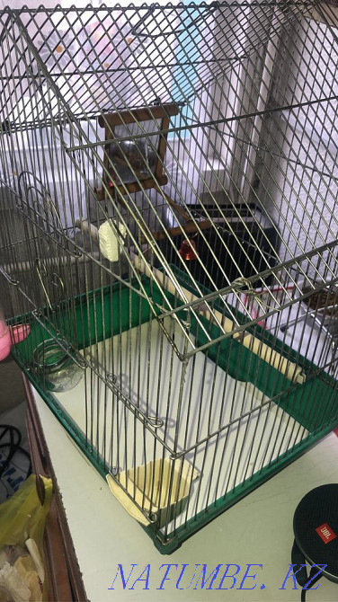 Boo parrot cage Almaty - photo 2