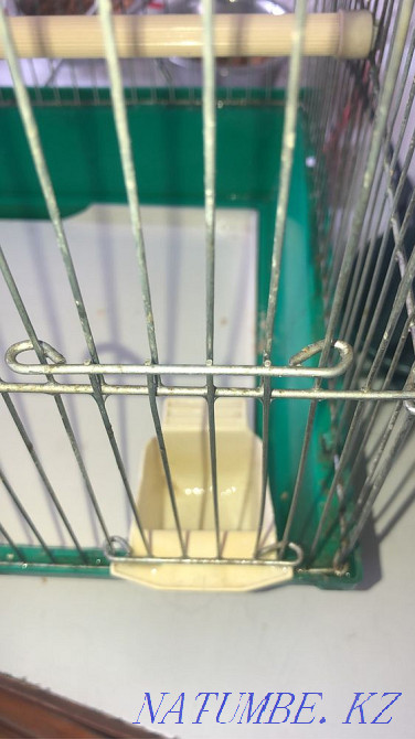 Boo parrot cage Almaty - photo 4