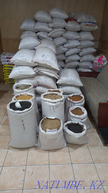 Салмақты құс жемі Шымкент - изображение 1