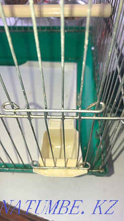 Cage for budgerigars boo Almaty - photo 4