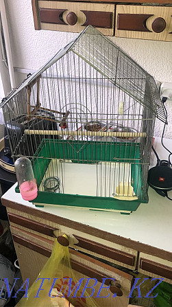 Cage for budgerigars boo Almaty - photo 1