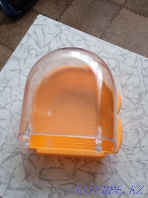 Bathing suit for parrots  - photo 2