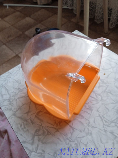 Bathing suit for parrots  - photo 4