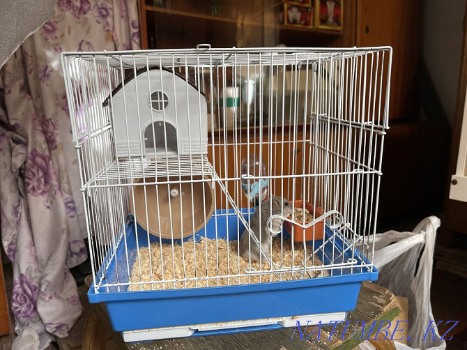 Hamster cage for sale Shymkent - photo 1