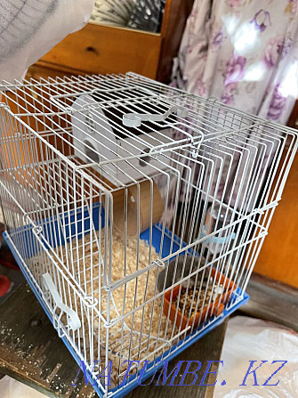 Hamster cage for sale Shymkent - photo 2