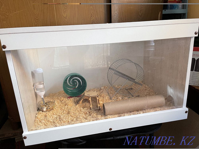 terrarium for sale with hamster Shymkent - photo 1