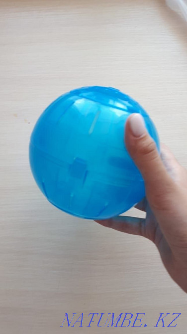 Hamster for sale and everything you need for his life  - photo 5