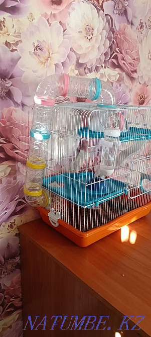 White hamster with a cage  - photo 4