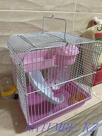 Hamster cage (set) + sawdust + hamster food + calcium Atyrau - photo 1