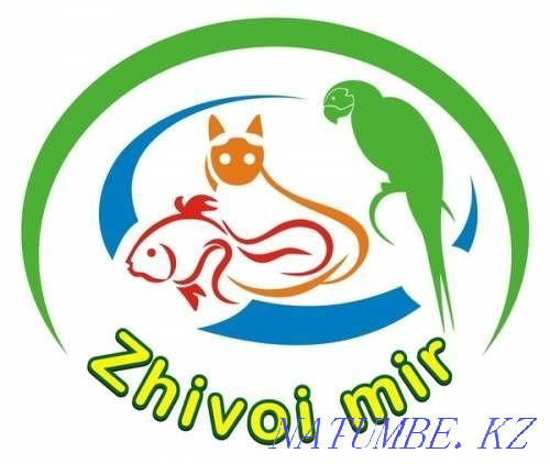 Корм для крыс "Колибри" в ЖИВОМ МИРЕ Алматы - изображение 5