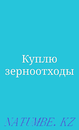 Зерноотходы пшеничные горох льна смотрите фото тел ниже в описание Петропавловск - изображение 1