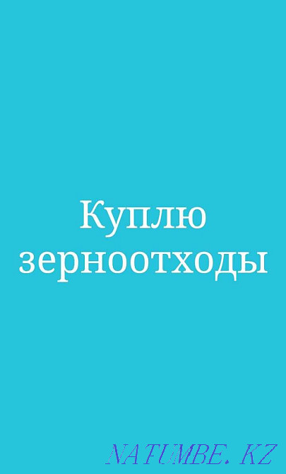 Астық қалдықтары бидай зығыр бұршақ, сипаттамада төмендегі денелердің фотосуретін қараңыз  Петропавл - изображение 1