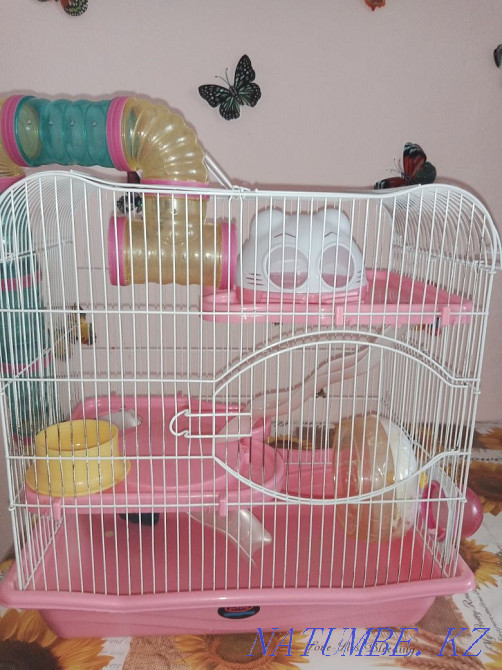 Продаю клетку с хомяками Темиртау - изображение 2
