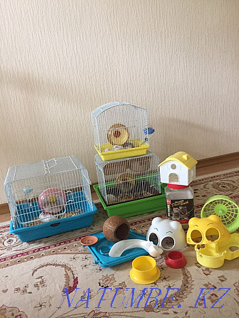 3 hamster cages for sale Ust-Kamenogorsk - photo 6