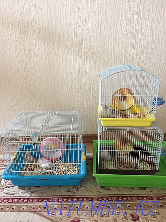 3 hamster cages for sale Ust-Kamenogorsk - photo 2