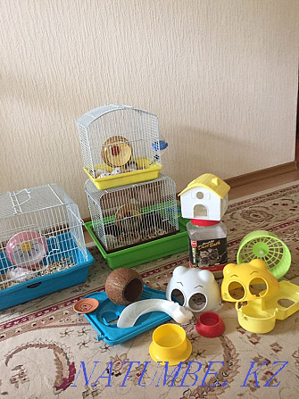 3 hamster cages for sale Ust-Kamenogorsk - photo 1