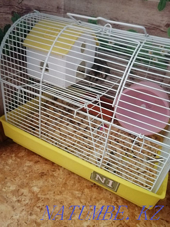 Hamster with cage Белоярка - photo 1