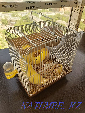 Djungarian hamster with a cage for sale. Astana - photo 3