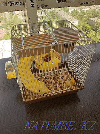 Djungarian hamster with a cage for sale. Astana - photo 1