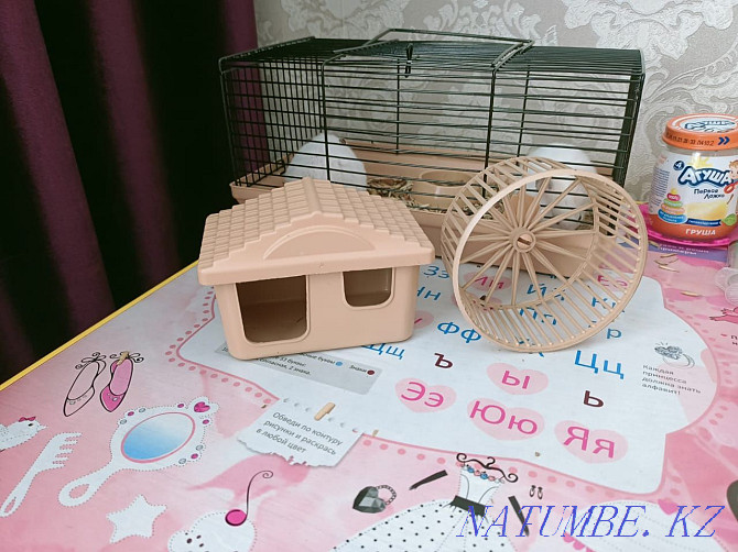 2pcs hamster with bars for sale  - photo 6