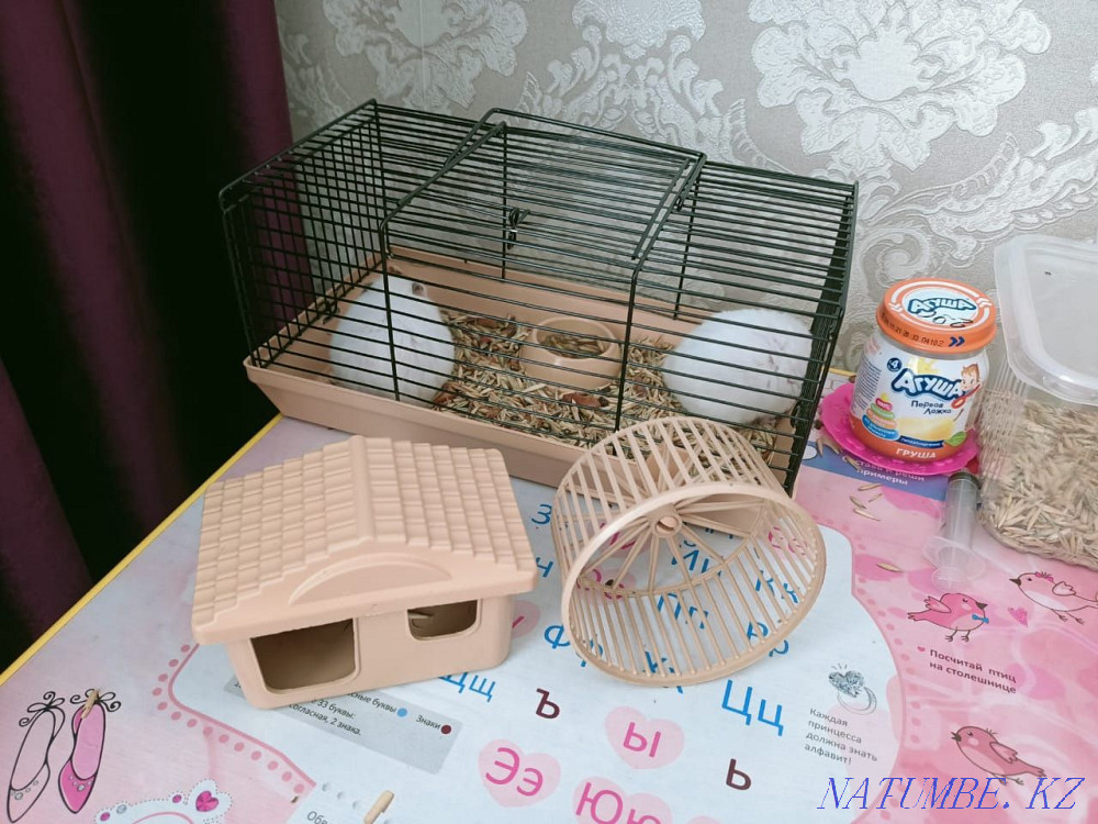 2pcs hamster with bars for sale  - photo 5