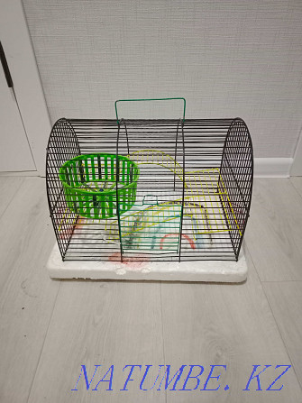 I will sell a cage for a hamster, a parrot and other rodents address 6 microdistrict Oral - photo 1