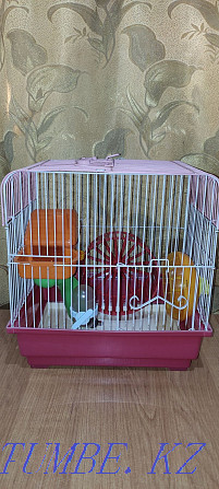 Used hamster cage for sale. Almaty - photo 1