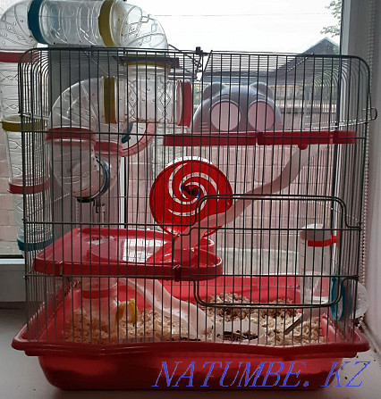 Hamster cage for sale, 3 tiers. Almaty - photo 1