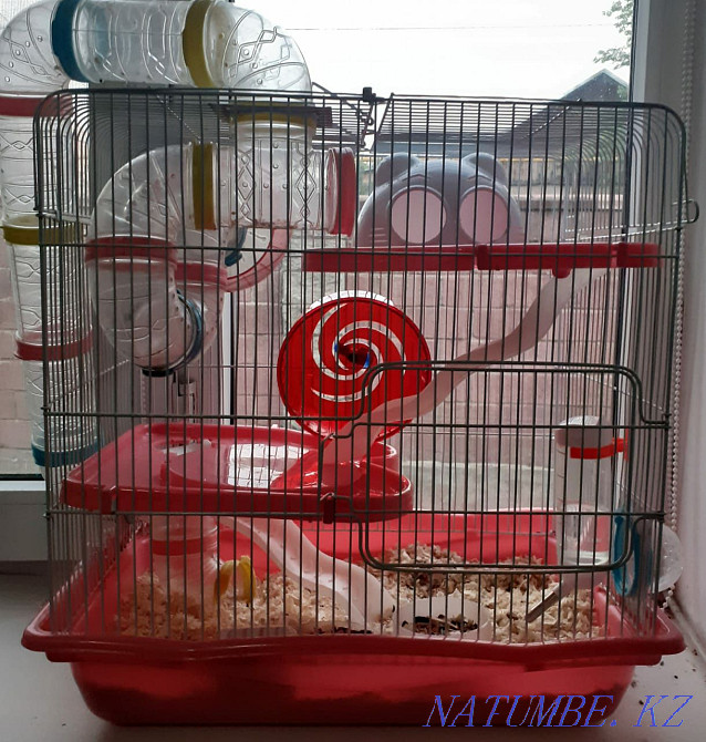 Продается клетка для хомячков, 3 яруса. Алматы - изображение 1